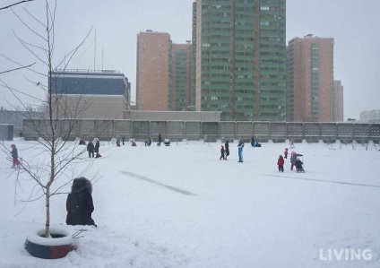 Shurshavel, la granițele orașului Petersburg