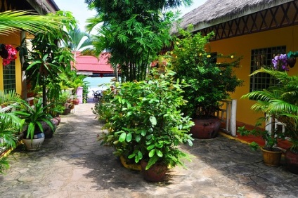 Sihanoukville Paradise - Utopia
