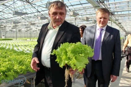 Tonshalovo va hrăni pe deplin Cherepovetsul cu legume naturale?