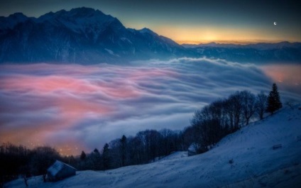 Fulgi de zăpadă, totul despre fulgi de zăpadă, fotografie