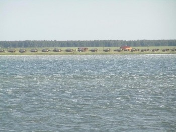 Salt Lake Burlin pe Altai - cum să ajungeți acolo