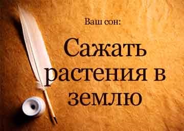 O interpretare de vis a plantelor de plantare în pământ într-un vis pentru a vedea ceea ce visă