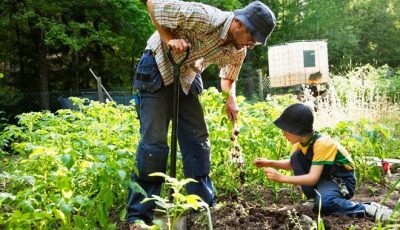 Sfaturi pentru persoanele care suferă de alergii atunci când lucrează în țară