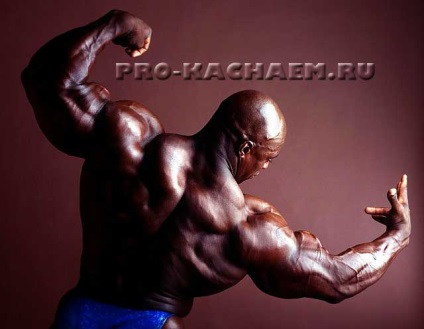 Tanács Coleman, koncentráció - pro-Kach - Bodybuilding kezdőknek