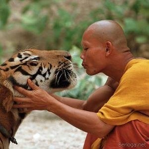 tiger Temple