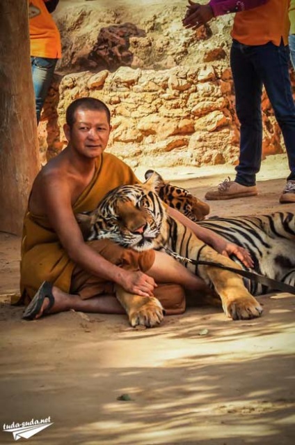 Tigriana în Thailanda, Kanchanaburi