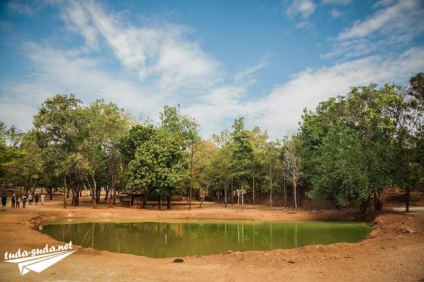 Tigriana în Thailanda, Kanchanaburi