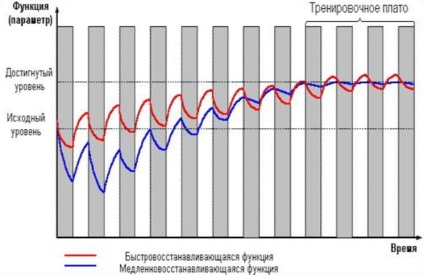 Platformă de instruire