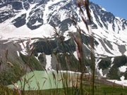 Tururi în natura caucaziană a regiunii Elbrus