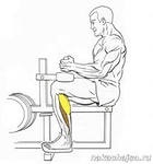 Упражнения за мускулите на краката