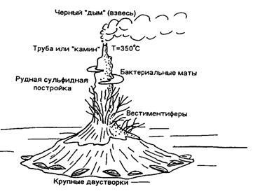 Cele mai importante procese geologice și caracteristicile lor ecologice, caracteristicile zonei de apă mondiale