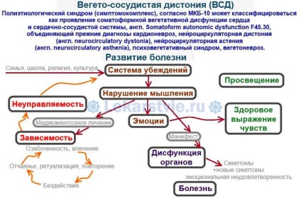 Distonie vasculară vegetală ceea ce este, simptome, tratament