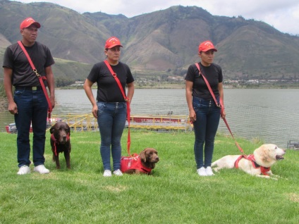 În Ecuador, câinele a salvat 7 oameni din moloz și a murit de deshidratare - știri în fotografii