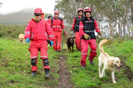 În Ecuador, câinele a salvat 7 oameni din moloz și a murit de deshidratare - știri în fotografii