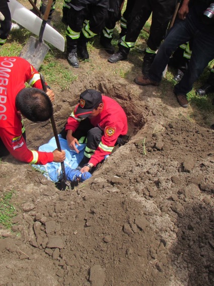 În Ecuador, câinele a salvat 7 oameni din moloz și a murit de deshidratare - știri în fotografii