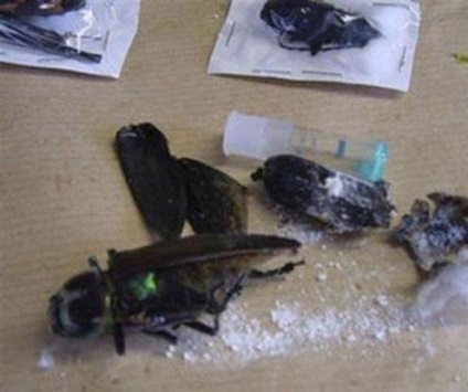 Lucruri în care drogurile au fost transportate peste graniță