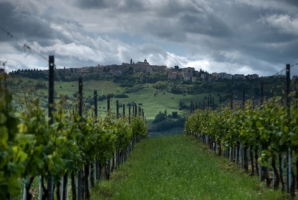 Weekend la Urbino - la tua italia