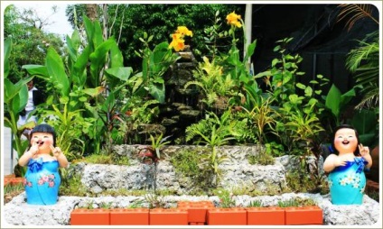 Frumusețea delicioasă a unei grădini tropicale, designul peisajului de grădini și parcele