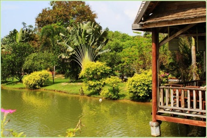 Frumusețea delicioasă a unei grădini tropicale, designul peisajului de grădini și parcele