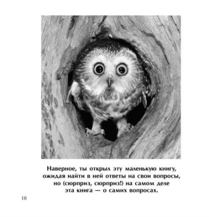 M-am rătăcit în jurul unui cercetător cu coarne, poet și urs de peșteră