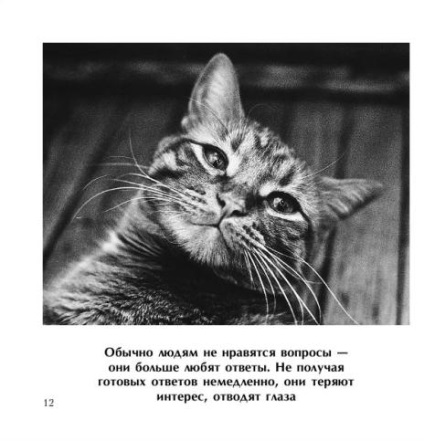 M-am rătăcit în jurul unui cercetător de hârtie, poet și urs de peșteră