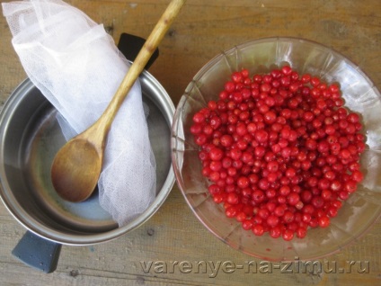 Jelly din coacăz roșu fără gătit - rețetă cu fotografie pas cu pas