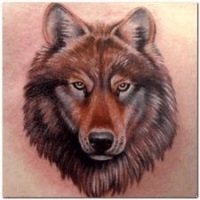 Înțeles a tattoo wolf