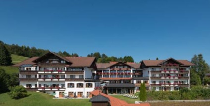 10 Cele mai bune hoteluri spa din Fussen, Germania