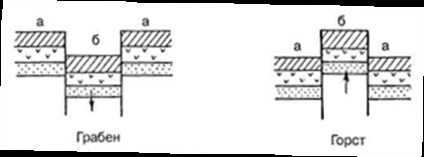 5 - Procese geologice endogene