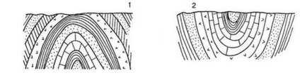 5 - Procese geologice endogene