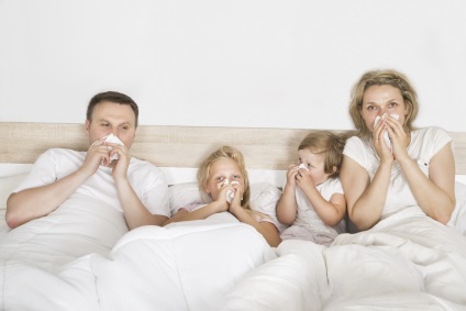 5 Surse de alergie la domiciliu, cu care curatarea uscata va ajuta - curatarea uscata a 