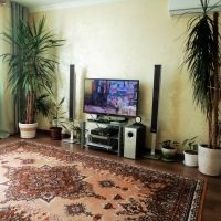 75 Opțiuni noi pentru un interior confortabil în apartament