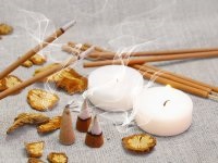 8 Rase de câini care nu provoacă alergii