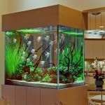 Akvárium a belső a lakás, a kilátás és helyét egy akvárium a házban