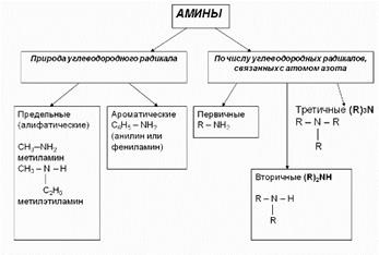 Amine și aminoacizi