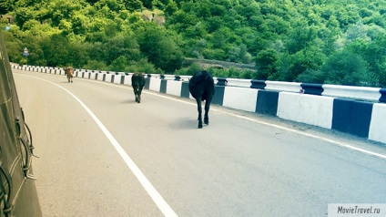 Și de ce nu în Adygea, călătoria este ușoară!