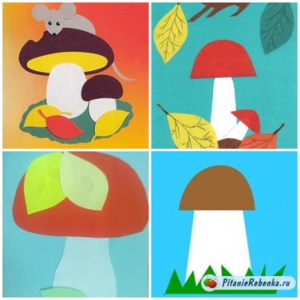 Aplicație pe tema ideilor de ciuperci și a clasei de master