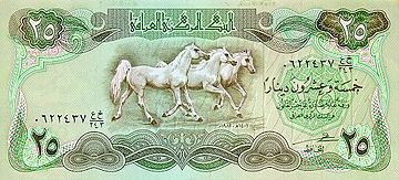 Arab lófajta fotó és videó, karakter és leírás, történelem
