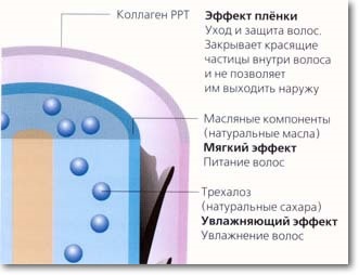 Păr bio-laminat de la cosmeticele lebel (Japonia)