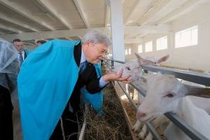 Planul de afaceri al Goat pe exemplul unui mic oraș