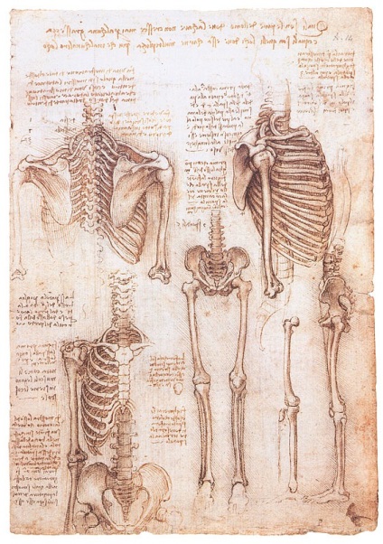Canvas blog - cinci fapte interesante despre Leonardo da Vinci