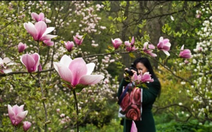 Grădina Botanică din Kiev