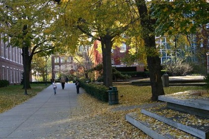 Colegiul Brooklyn