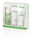 Crema de noapte crema de viță de vie Caudalie cu extracte din plante