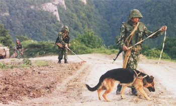 Cecenia, 1999