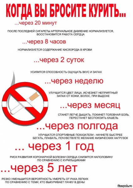 Чим шкідливе куріння для вашого тіла (куріння) Чим шкідливе куріння для вашого тіла