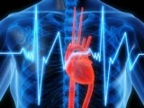 Care sunt modificările dismetabolice ale miocardului, sistemul beta-cardiomonitoring al ritmului-2000