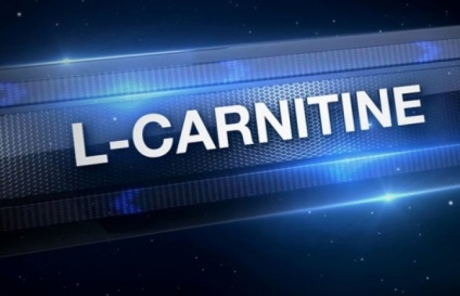 Ce este l-carnitina și pentru ce este?