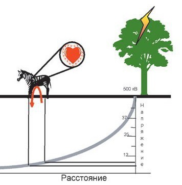 Ce este tensiunea pasului și cum să vă protejați de expunerea neintenționată