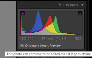 Ce este un preview inteligent într-o cameră de lumină, blog Alexey Brozlavets